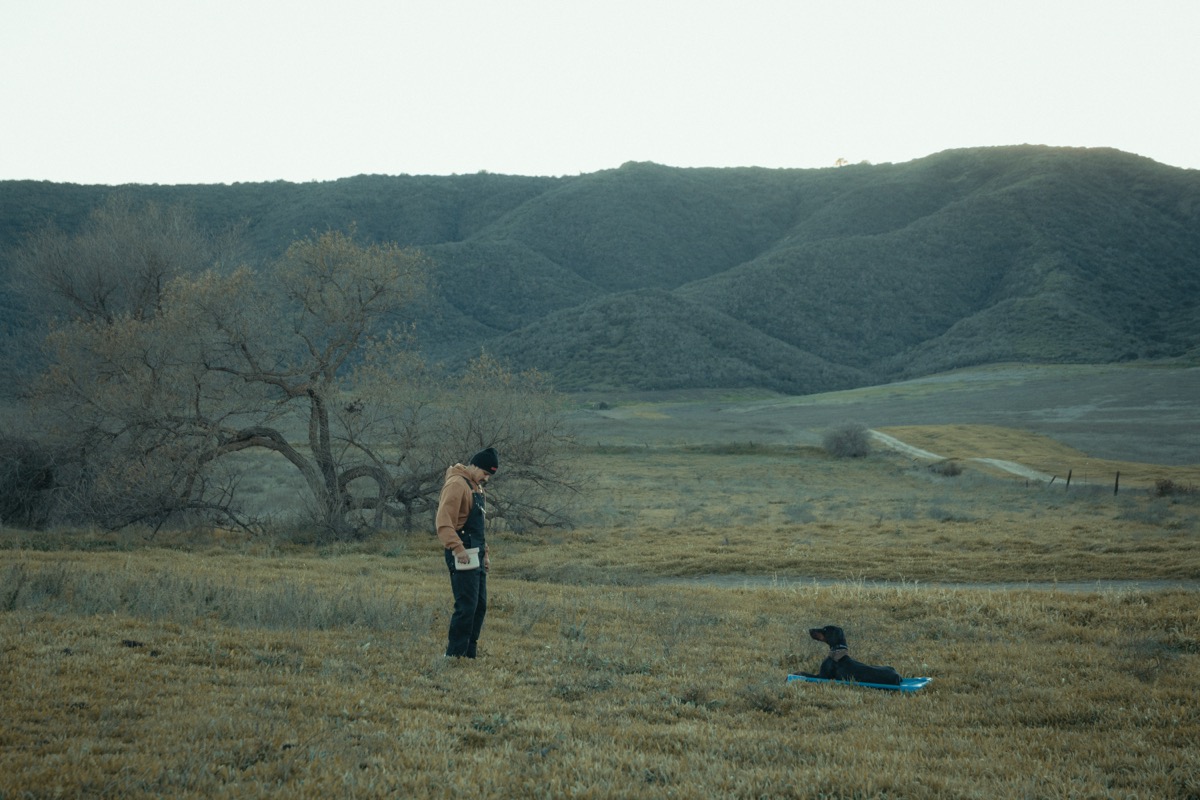 Off-leash dog training session in an open field